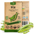 Pea Oregon Sugar Pod II Seeds Pack 15G