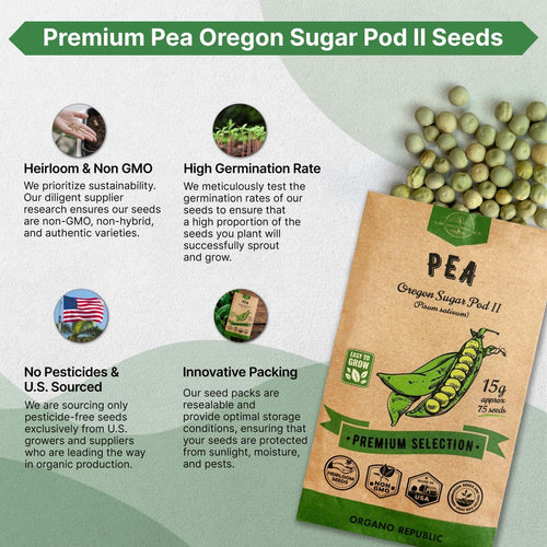 Pea Oregon Sugar Pod II Seeds Pack 15G - Over 75 Non - GMO Heirloom Pea Seeds for Planting Vegetables in Individual Seed Packet, Vegetable Seeds for Planting Home Garden Indoor & Outdoor Gardening - Organo Republic