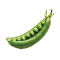 Pea Oregon Sugar Pod Ⅱ - 15G
