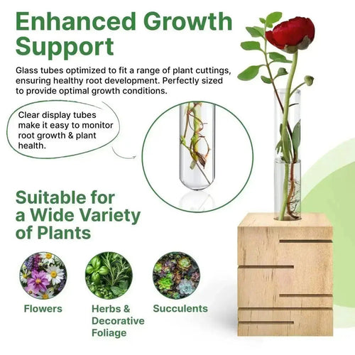 Plant Propagation Station - 1 Glass Tube, Cube Wooden Plant Stand Indoor Terrarium for Hydroponic Plants Home and Office Desk Decor Root Propagator, Unique Gifts for Women, Men & Plant Lovers - Organo Republic