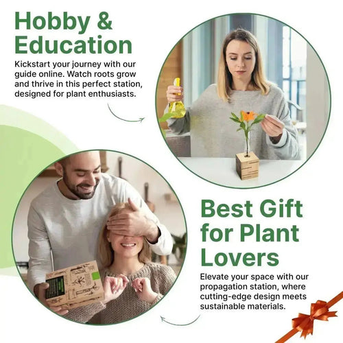 Plant Propagation Station - 1 Glass Tube, Cube Wooden Plant Stand Indoor Terrarium for Hydroponic Plants Home and Office Desk Decor Root Propagator, Unique Gifts for Women, Men & Plant Lovers - Organo Republic