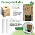 Plant Propagation Station - 1 Glass Tube, Cube Wooden Plant Stand Indoor Terrarium for Hydroponic Plants Home and Office Desk Decor Root Propagator, Unique Gifts for Women, Men & Plant Lovers - Organo Republic