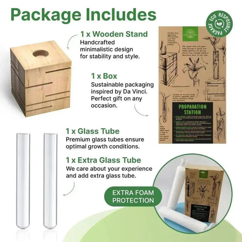 Plant Propagation Station - 1 Glass Tube, Cube Wooden Plant Stand Indoor Terrarium for Hydroponic Plants Home and Office Desk Decor Root Propagator, Unique Gifts for Women, Men & Plant Lovers - Organo Republic