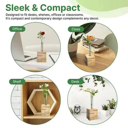 Plant Propagation Station - 1 Glass Tube, Cube Wooden Plant Stand Indoor Terrarium for Hydroponic Plants Home and Office Desk Decor Root Propagator, Unique Gifts for Women, Men & Plant Lovers - Organo Republic