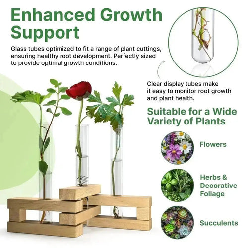 Plant Propagation Station 3 Glass Tube Wooden Folding Planks, Plant Stand Indoor Terrarium for Hydroponic Plants Home and Office Desk Decor Root Propagator, Unique Gifts for Women, Men & Plant Lovers - Organo Republic