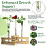 Plant Propagation Station 3 Glass Tube Wooden Folding Planks, Plant Stand Indoor Terrarium for Hydroponic Plants Home and Office Desk Decor Root Propagator, Unique Gifts for Women, Men & Plant Lovers - Organo Republic