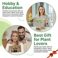 Plant Propagation Station 3 Glass Tube Wooden Folding Planks, Plant Stand Indoor Terrarium for Hydroponic Plants Home and Office Desk Decor Root Propagator, Unique Gifts for Women, Men & Plant Lovers - Organo Republic