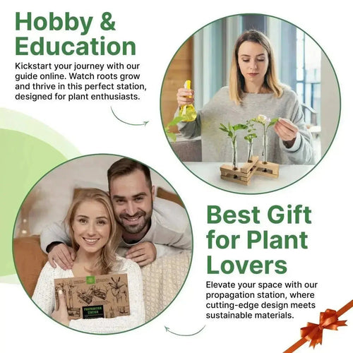 Plant Propagation Station 3 Glass Tube Wooden Folding Planks, Plant Stand Indoor Terrarium for Hydroponic Plants Home and Office Desk Decor Root Propagator, Unique Gifts for Women, Men & Plant Lovers - Organo Republic