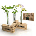 Plant Propagation Station 3 Glass Tube Wooden Folding Planks, Plant Stand Indoor Terrarium for Hydroponic Plants Home and Office Desk Decor Root Propagator, Unique Gifts for Women, Men & Plant Lovers - Organo Republic