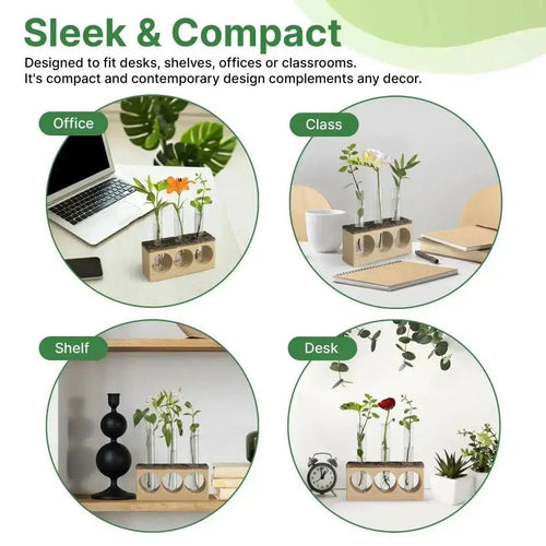 Plant Propagation Station 3 Glass Tube Wooden Stand Plant Terrarium for Hydroponic Plants Home Decor, Root Propagator for Office Home and Decor, Unique Gifts for Women, Men and Plant Lovers - Organo Republic
