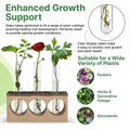 Plant Propagation Station 3 Glass Tube Wooden Stand Plant Terrarium for Hydroponic Plants Home Decor, Root Propagator for Office Home and Decor, Unique Gifts for Women, Men and Plant Lovers - Organo Republic