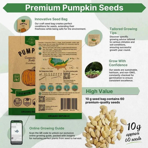 Pumpkin Connecticut Field Seeds Pack 10G - Over 60 Non - GMO Heirloom Pumpkin Seeds for Planting Vegetables in Individual Seed Packet, Vegetable Seeds for Planting Home Garden Indoor & Outdoor Gardening - Organo Republic