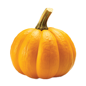 Sugar Pie Pumpkin - 5.5G