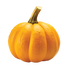 Sugar Pie Pumpkin - 5.5G