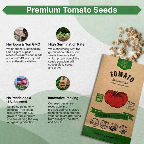 Red Beefsteak Tomato Seeds Pack 0.5 G - Over 250 Non - GMO Heirloom Tomato Seeds for Planting Vegetables in Individual Seed Packet, Vegetable Seeds for Planting Home Garden Indoor & Outdoor Gardening - Organo Republic