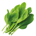 Sorrel - 0.2G