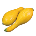Yellow Squash Golden Summer Crookneck - 3.8G