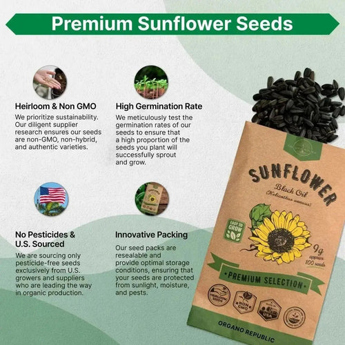 Sunflower Black Oil Seeds Pack 9G - Over 100 of Non - GMO Heirloom Sunflower Seeds for Planting Vegetables in Individual Seed Packet, Vegetable Seeds for Planting Home Garden Indoor & Outdoor Gardening - Organo Republic