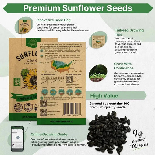 where to buy black oil sunflower seeds for planting Organo Republic Black Oil Sunflower Seeds, 100+ Non-GMO Heirloom Seeds, 9G Packet for Planting Indoors & Outdoors, Edible Sunflower Variety for Home