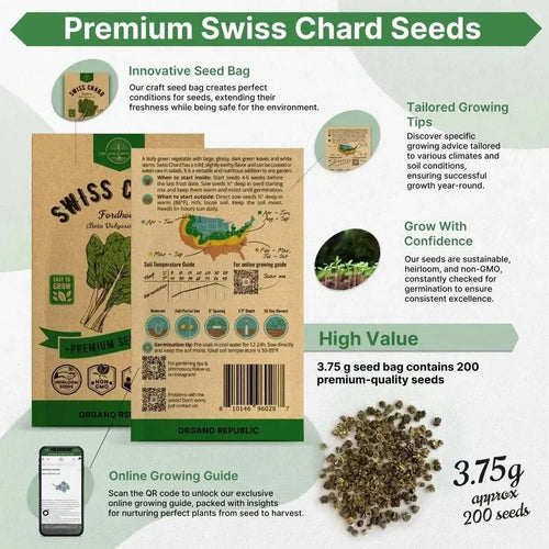 Swiss Chard Fordhook Seeds Pack 3.75 g - Over 200 Non - GMO Heirloom Swiss Chard Seeds for Planting Greens in Individual Seed Packet, Greens Seeds for Planting Home Garden Indoor & Outdoor Gardening - Organo Republic