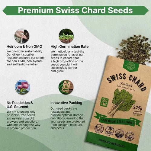 Swiss Chard Fordhook Seeds Pack 3.75 g - Over 200 Non - GMO Heirloom Swiss Chard Seeds for Planting Greens in Individual Seed Packet, Greens Seeds for Planting Home Garden Indoor & Outdoor Gardening - Organo Republic