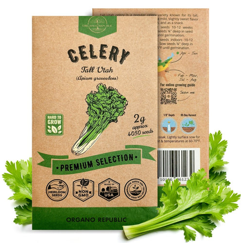 garden seeds utah Tall Utah Celery Seeds Pack 2G