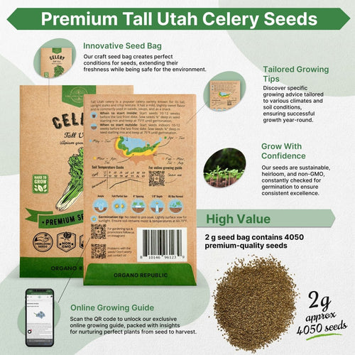 Tall Utah Celery Seeds Pack 2 G - Over 4,050 Non - GMO Heirloom Celery Seeds for Planting Vegetables in Individual Seed Packet, Vegetable Seeds for Planting Home Garden Indoor & Outdoor Gardening - Organo Republic