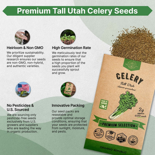 Tall Utah Celery Seeds Pack 2 G - Over 4,050 Non - GMO Heirloom Celery Seeds for Planting Vegetables in Individual Seed Packet, Vegetable Seeds for Planting Home Garden Indoor & Outdoor Gardening - Organo Republic