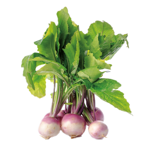 Turnip Seeds - 3G
