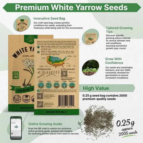 White Yarrow Seeds Pack 0.25 G - Over 2000 Non - GMO Heirloom Yarrow Seeds for Planting Herbs in Individual Seed Packet, Herbs Seeds for Planting Home Garden Indoor & Outdoor Gardening - Organo Republic