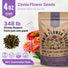 Zinnia Seeds Pack 4 oz - Over 15,300 Non - GMO Heirloom Zinnia Seeds for Planting, Annual Flowers in Individual Seed Packet, Zinnia Seeds for Planting Home Garden Indoor & Outdoor Gardening - Organo Republic
