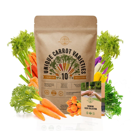 Vegetable Seeds Variety Pack - 10 Carrot Seeds Variety Pack - Over 3600 Non-GMO, Heirloom Seeds 1280