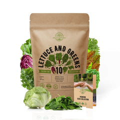 10 Lettuce & Salad Greens Seeds Variety Pack 4800+ Non-GMO Heirloom Lettuce Seeds - Organo Republic