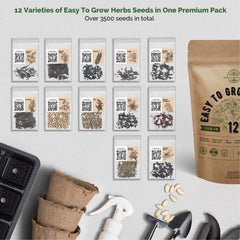 12 Easy to Grow Herb and 10 Carrot Seeds Variety Packs Bundle - Organo Republic