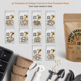12 Easy to Grow Herb and 10 Carrot Seeds Variety Packs Bundle - Organo Republic