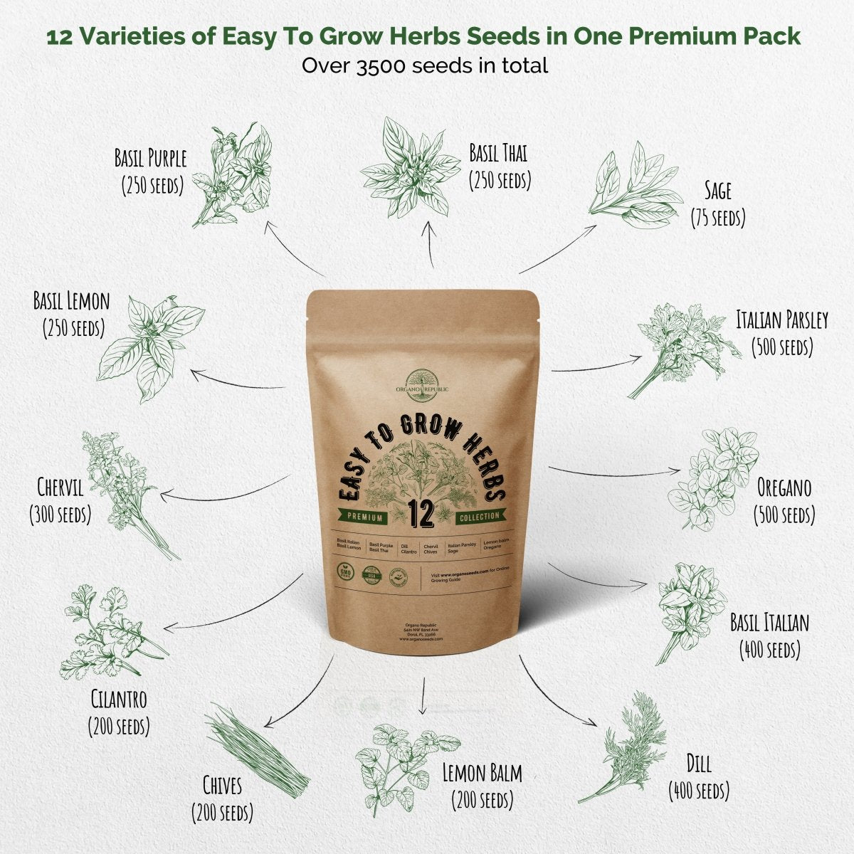 12 Easy to Grow Herb and 25 Summer Vegetable Seeds Variety Packs Bundle - Organo Republic