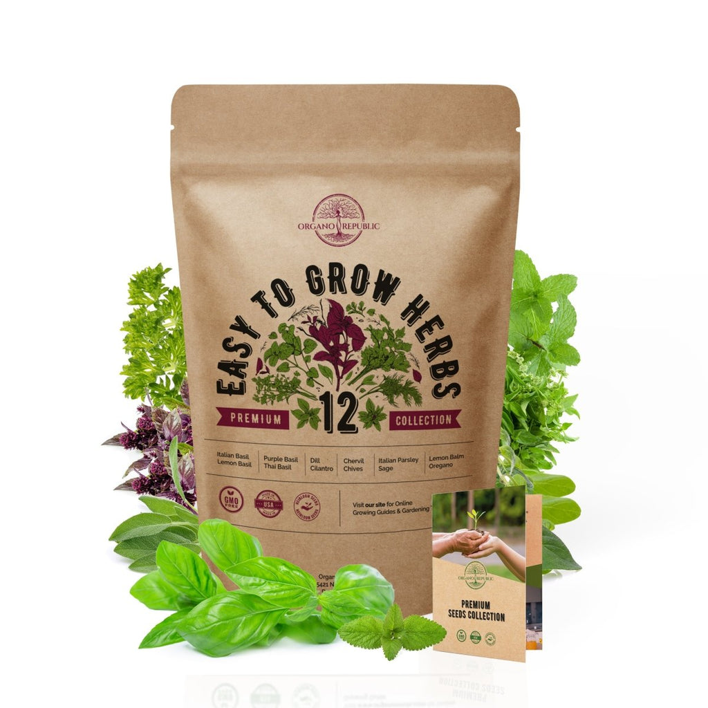 12 Easy to Grow Herb Seeds Variety Pack Over 3500 NonGMO, Heirloom