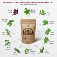 12 Easy to Grow Herb Seeds Variety Pack - Over 3500 Non-GMO, Heirloom Seeds - Organo Republic