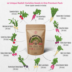 12 Radish & 10 Carrot Seeds Variety Packs Bundle - Organo Republic