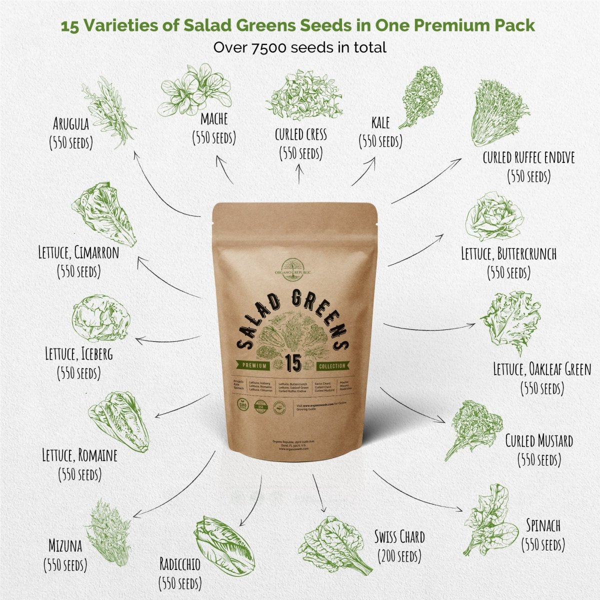 12 Radish and 15 Lettuce & Salad Greens Seeds Variety Packs Bundle - Organo Republic