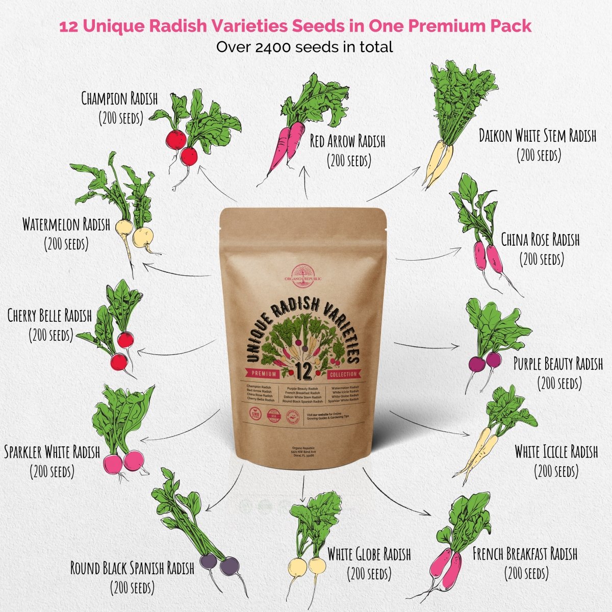 12 Radish and 15 Lettuce & Salad Greens Seeds Variety Packs Bundle - Organo Republic