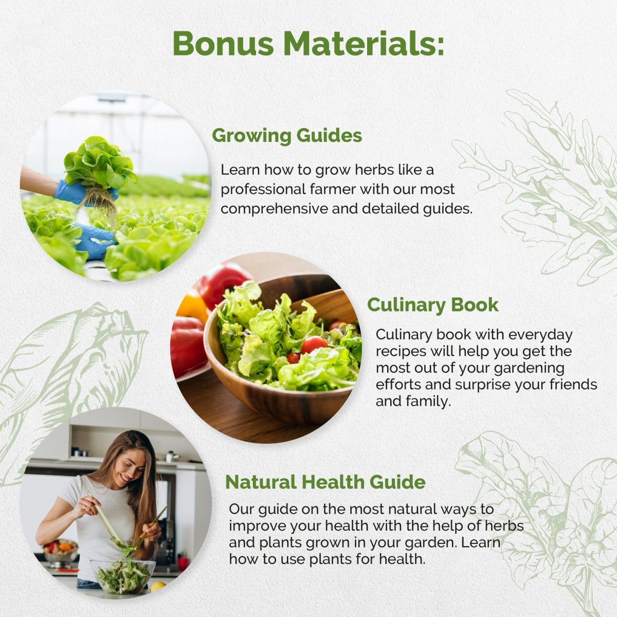 15 Lettuce & Salad Greens & Broccoli Microgreens Seeds Bundle - Organo Republic