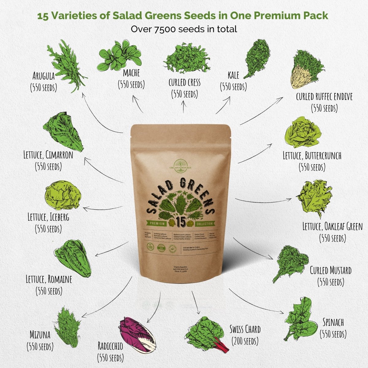15 Lettuce & Salad Greens Seeds Variety Pack - Over 7500 Non-GMO, Heirloom Seeds - Organo Republic
