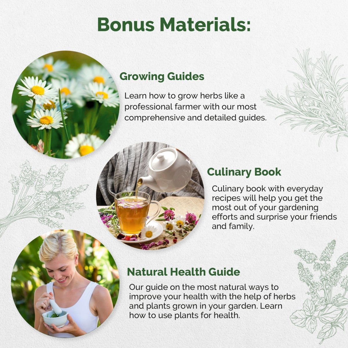 15 Medicinal & Tea Herb & Beet Microgreens Seeds Bundle - Organo Republic