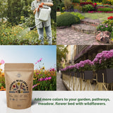 16 Perennial Wildflower Seeds Variety Pack - Over 100,000 Non-GMO, Heirloom Seeds - Organo Republic