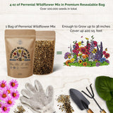 16 Perennial Wildflower Seeds Variety Pack - Over 100,000 Non-GMO, Heirloom Seeds - Organo Republic