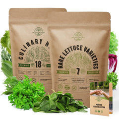 18 Culinary Herbs and 7 Lettuce Seeds Variety Packs Bundle Non-GMO Heirloom Seeds for Planting Indoor and Outdoor Over 8800 Herbs & Lettuce Seeds in One Value Bundle - Organo Republic