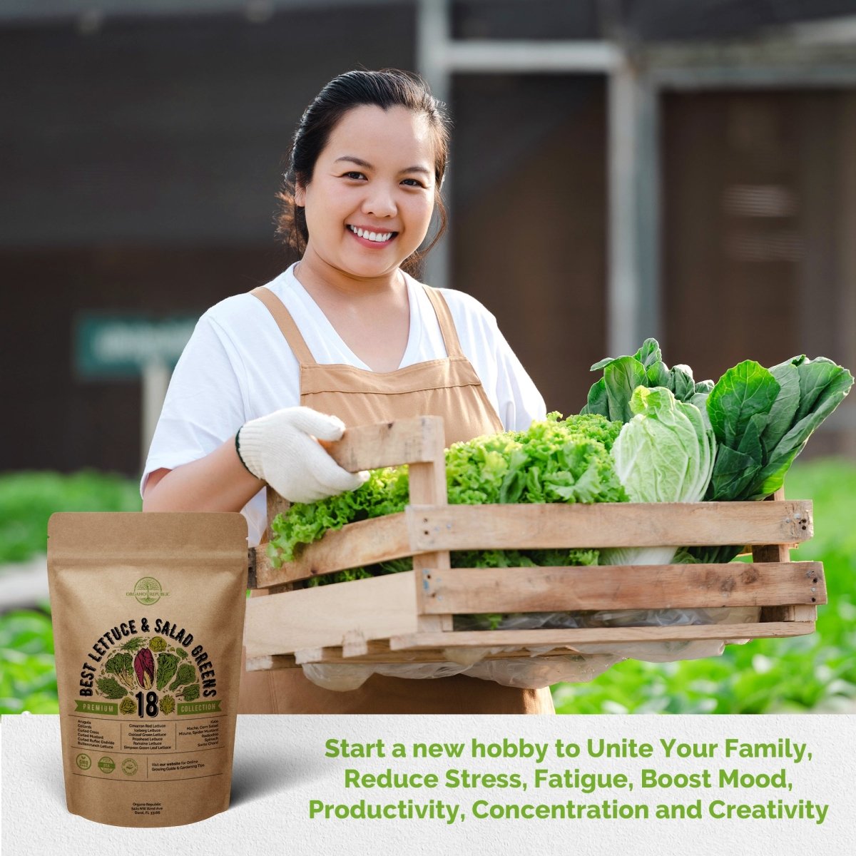 18 Lettuce & Salad Greens Seeds Variety Pack 9200+ Non-GMO Heirloom Lettuce Seeds - Organo Republic