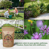 19 Bee Mix Wildflower Seeds Mix for Planting Indoor & Outdoors - Organo Republic