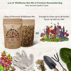 19 Bee Mix Wildflower Seeds Mix for Planting Indoor & Outdoors - Organo Republic